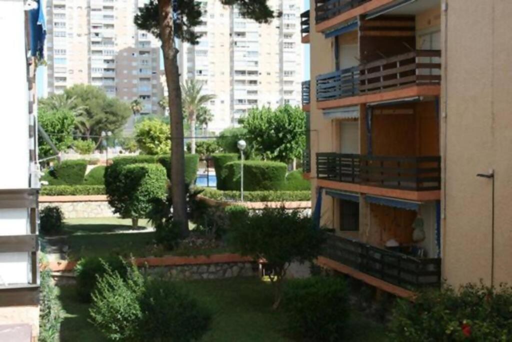 Las Lanzas Studio Apartment Playa Muchavista El Campello Exteriér fotografie
